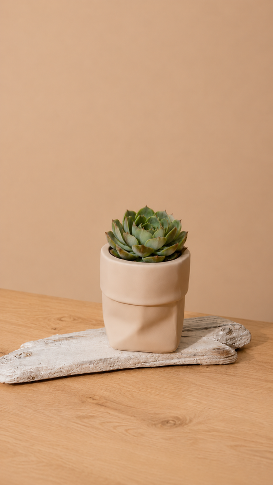 Blomsterpotte, «papirpose», 7 cm