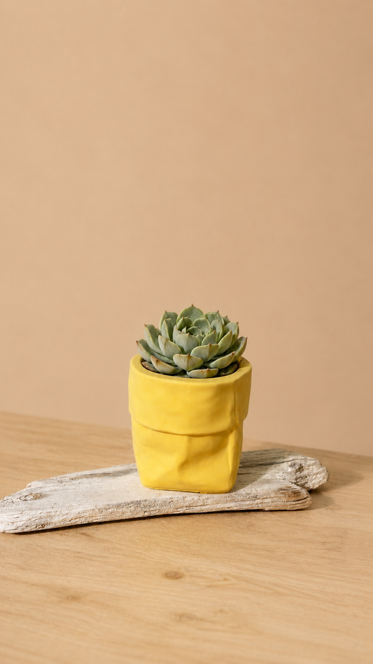 Blomsterpotte, «papirpose», 7 cm