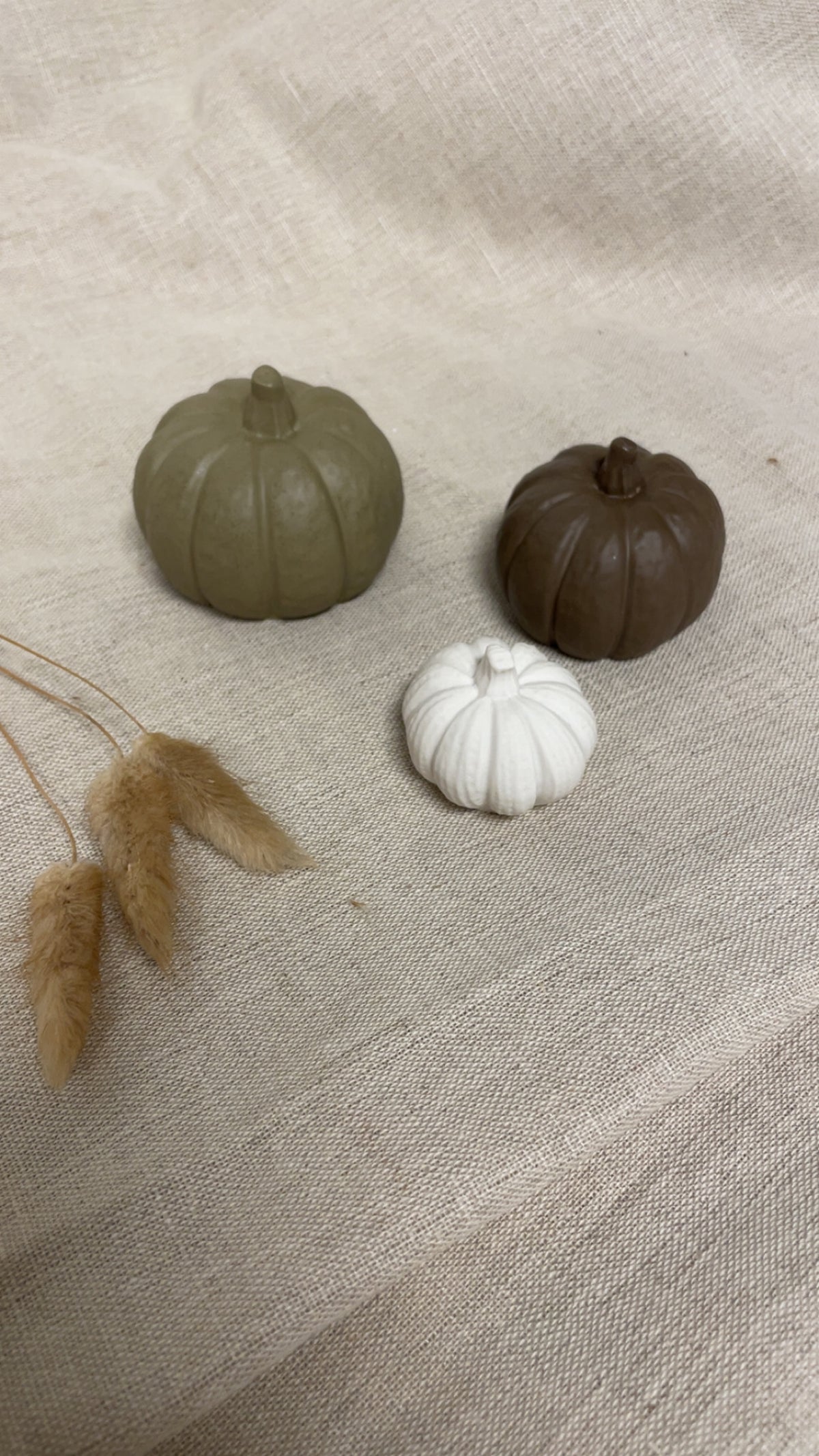 3 pk med søte gresskar
