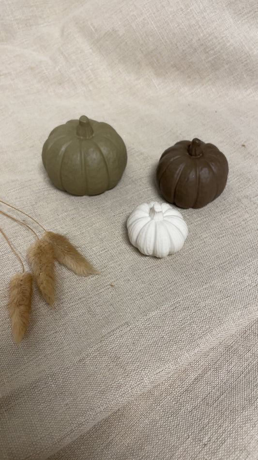 3 pk med søte gresskar
